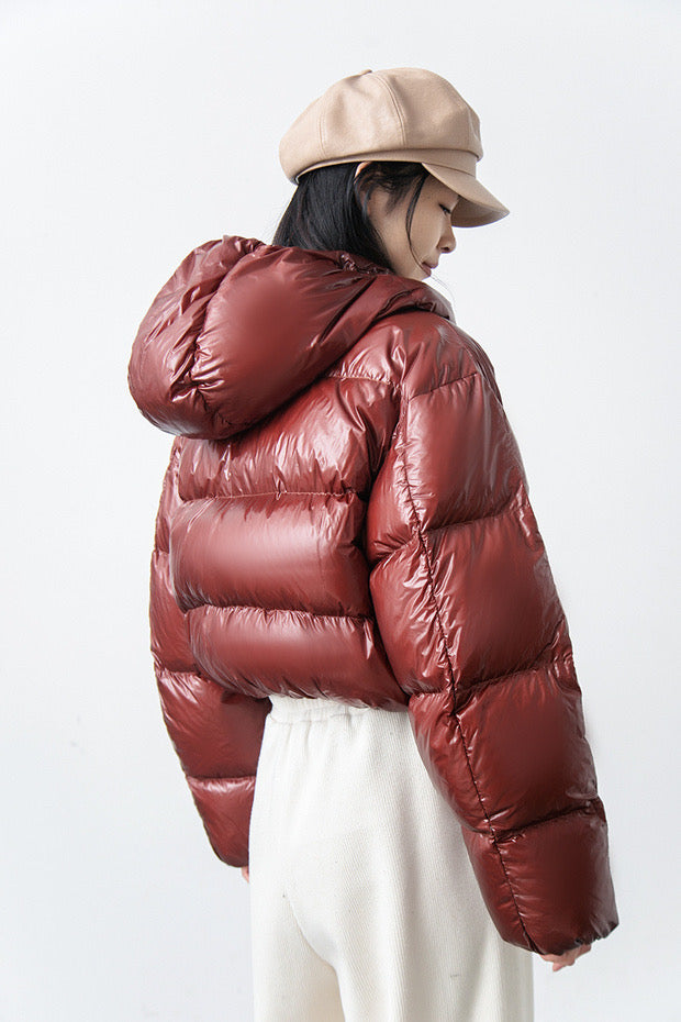 Viral Shiny Puffer