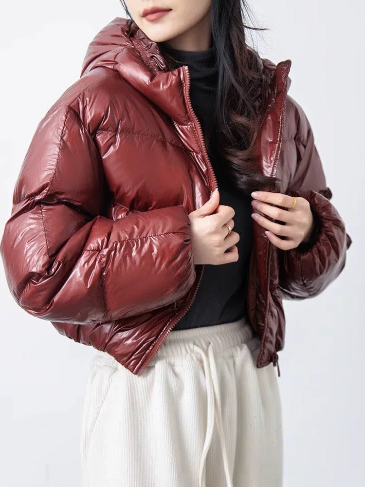 Viral Shiny Puffer