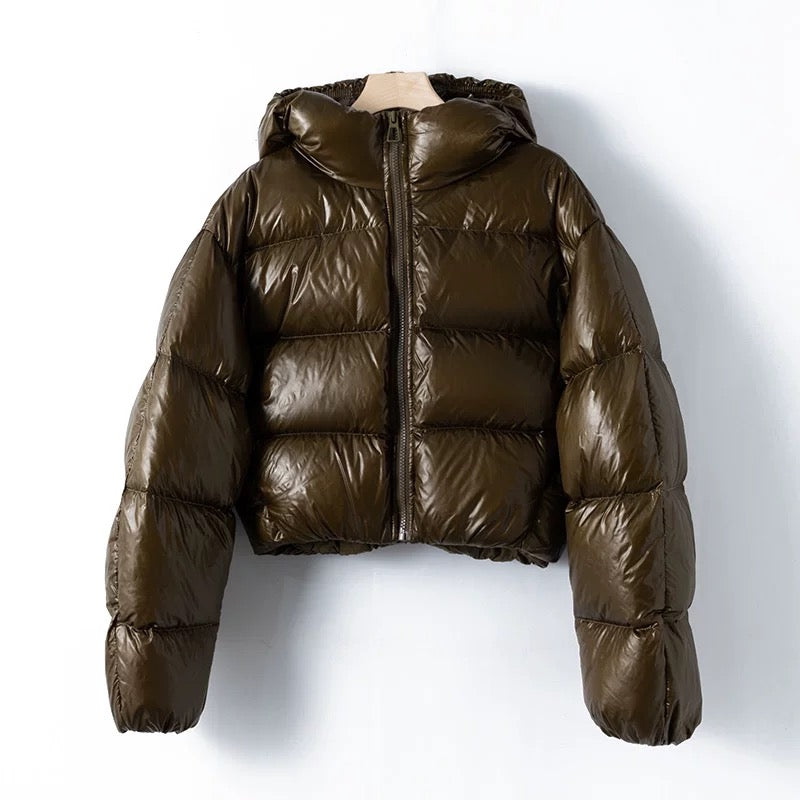 Viral Shiny Puffer