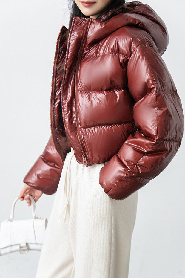 Viral Shiny Puffer